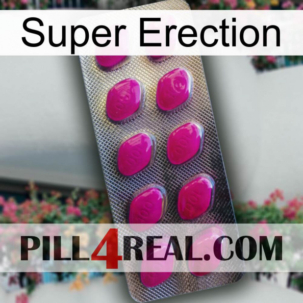 Super Erection 09.jpg